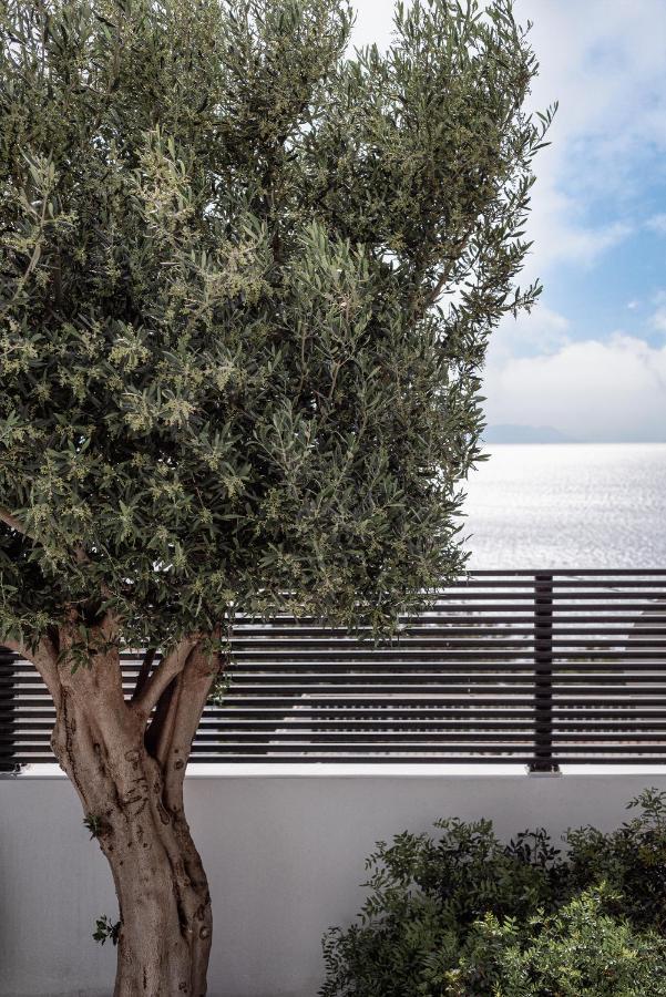 Black Stone Villa Sounion Dış mekan fotoğraf